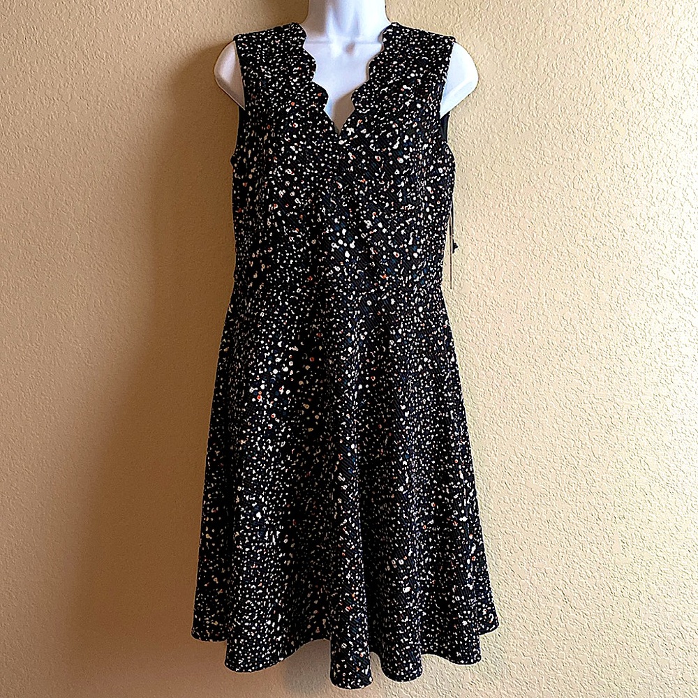 NWT Fit and flare, scallop neck dress